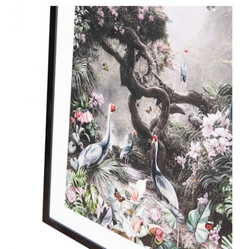 'Beauty of Nature' Framed Picture 'Beauty of Nature' Framed Picture