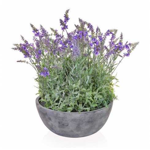 Artificial Lavender Plant In Grey Bowl 38 x 50cm Artificial Lavender Plant In Grey Bowl 38 x 50cm