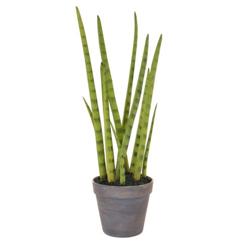 Artificial Sansevieria Plant with Brown Pot Artificial Sansevieria Plant with Brown Pot