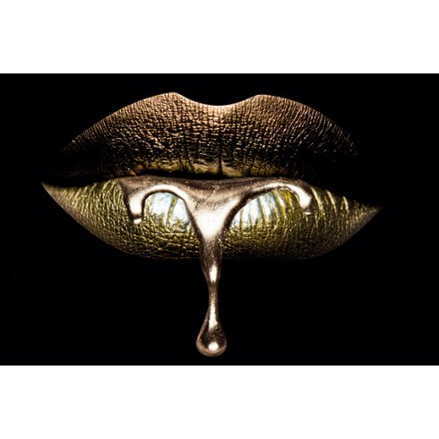 Golden Kiss - Photo Art on Dibond Golden Kiss - Photo Art on Dibond