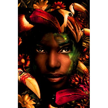 African Flamingo - Photo Art on Plexiglass African Flamingo - Photo Art on Plexiglass