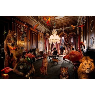 Animal Kingdom - Photo Art on Plexiglass Animal Kingdom - Photo Art on Plexiglass