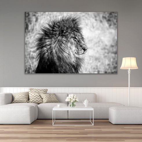 Lion King - Photo Art on Plexiglass Lion King - Photo Art on Plexiglass