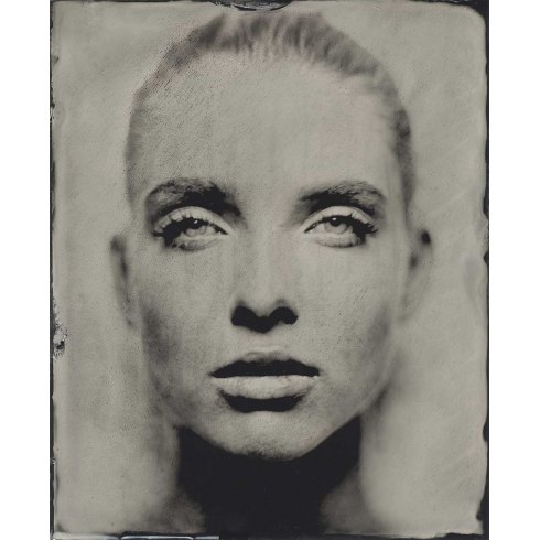 Gazing Still - Photo Art on Plexiglass Gazing Still - Photo Art on Plexiglass