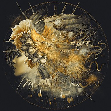 Golden Erato - Photo Art on Plexiglass Golden Erato - Photo Art on Plexiglass