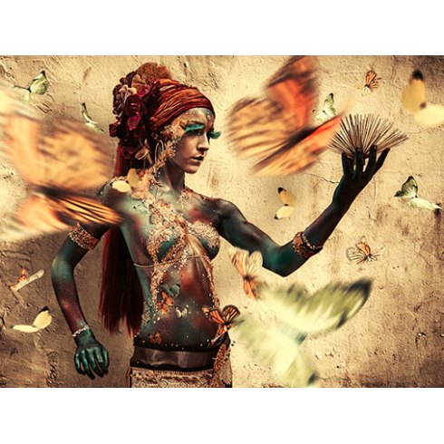 Enjambre - Photo Art on Plexiglass Enjambre - Photo Art on Plexiglass