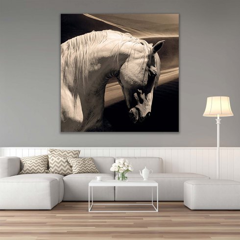 Arabian Horse - Photo Art on Plexiglass Arabian Horse - Photo Art on Plexiglass
