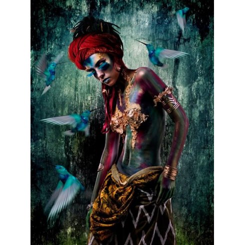 Kolibri - Photo Art on Plexiglass Kolibri - Photo Art on Plexiglass