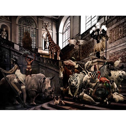 City Jungle - Photo Art on Plexiglass City Jungle - Photo Art on Plexiglass