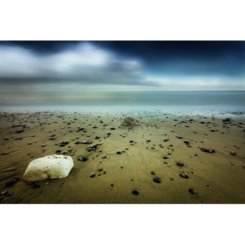 Shells - Photo Art on Plexiglass Shells - Photo Art on Plexiglass