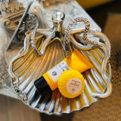 Octopus & Shell Dish Octopus & Shell Dish