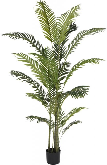 Faux Areca Palm 6ft