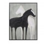 Stallion Shadows Framed Canvas Picture